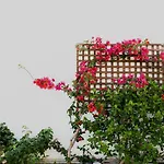 Dorkas Luxury Rooms&apartments 2*