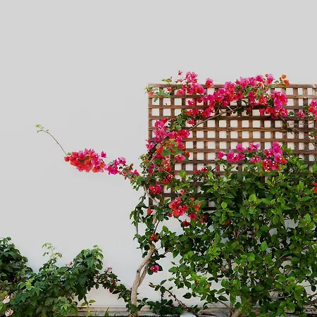 Dorkas Luxury Rooms&apartments 2*