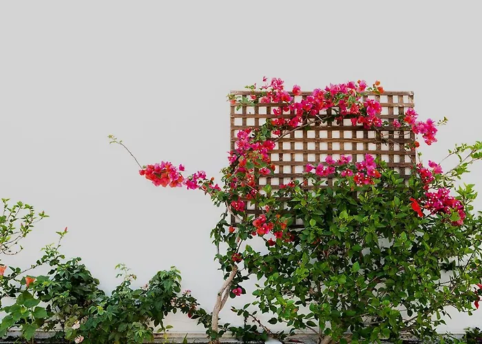 Dorkas Luxury Rooms&apartments 2*